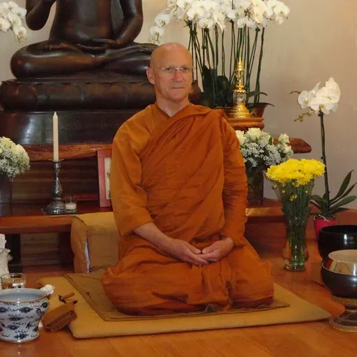 Portrait of Ajahn Pasanno