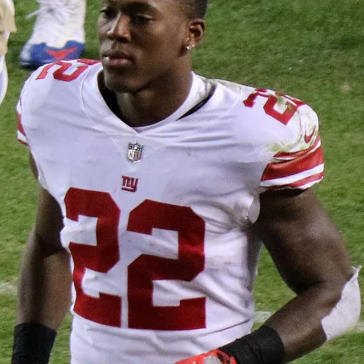 Portrait of Wayne Gallman