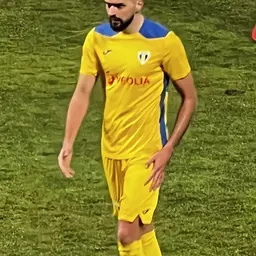 Portrait of Senad Jarović