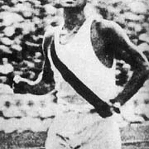 Portrait of Nam Sung-yong