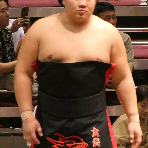 Portrait of Daiseizan Daisuke