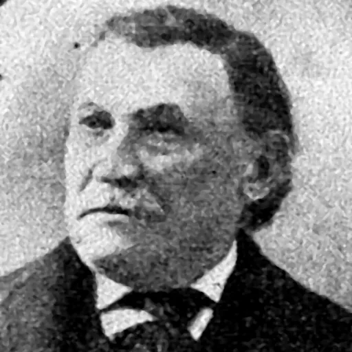 Portrait of Frank E. Fesq
