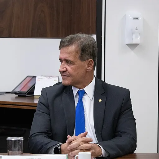 Portrait of Aluísio Mendes