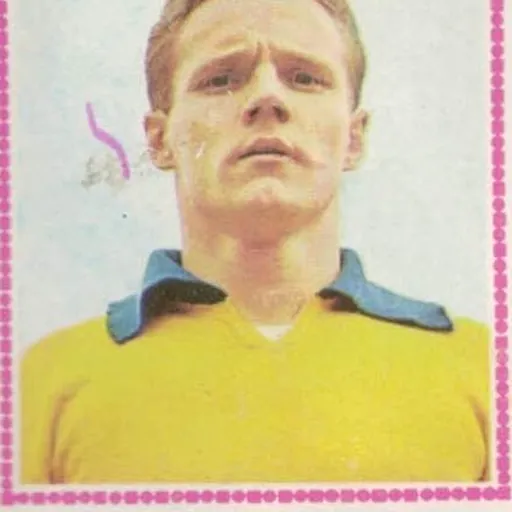 Portrait of Albert Brülls