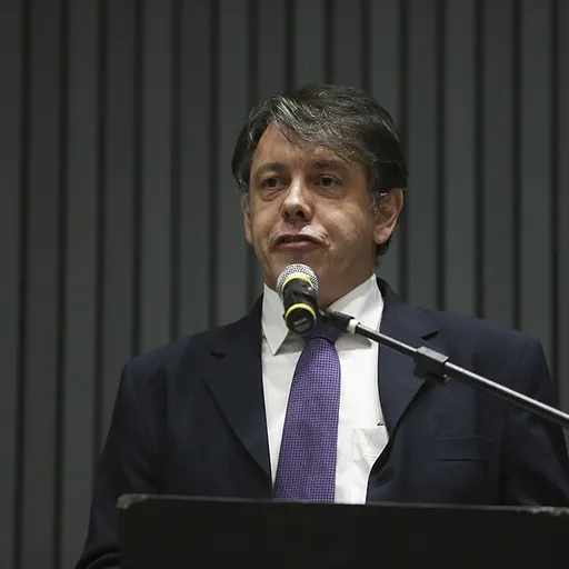 Portrait of Marcelo Viana