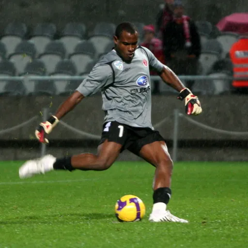 Portrait of Vincent Enyeama