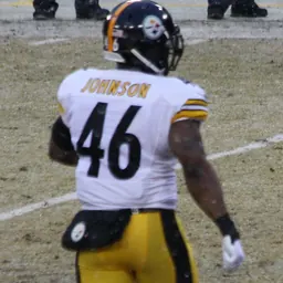 Portrait of Will Johnson