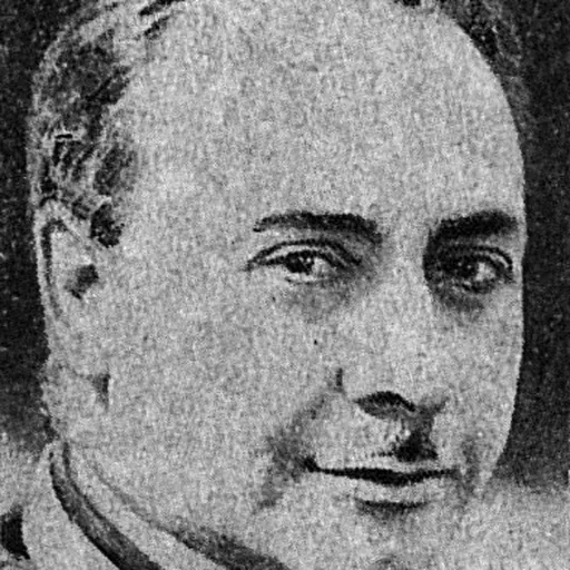 Portrait of Jean Gaupillat