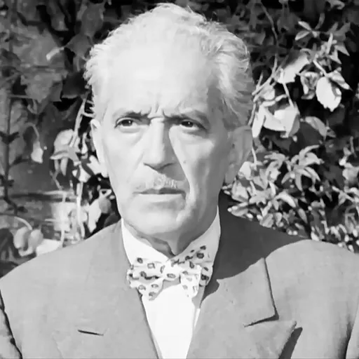Portrait of Raimondo Van Riel