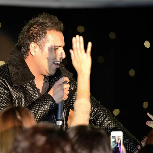 Portrait of H-Dhami