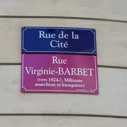 Portrait of Virginie Barbet
