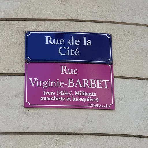 Portrait of Virginie Barbet