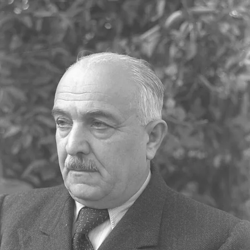 Portrait of David Remez