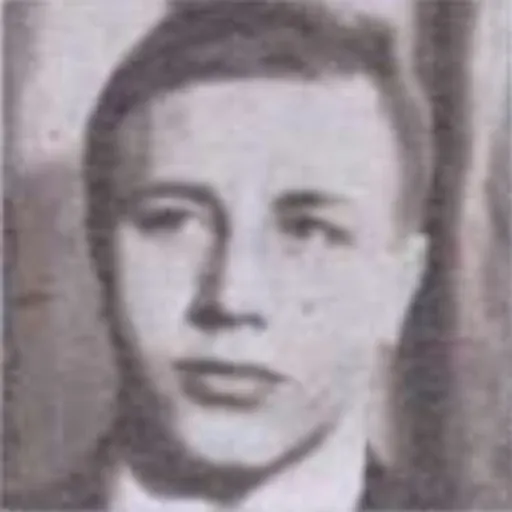 Portrait of Dumitru Spîrlea