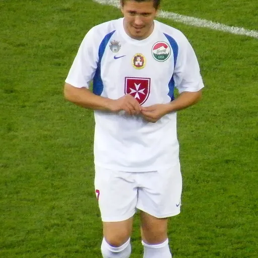 Portrait of Péter Simek