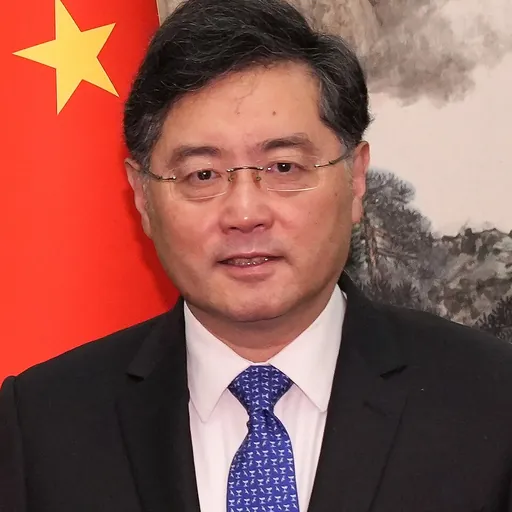 Portrait of Qin Gang