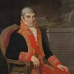 Portrait of Félix María Calleja del Rey, 1st Count of Calderón