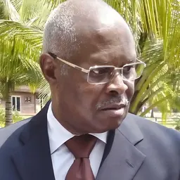 Portrait of Tomé Vera Cruz