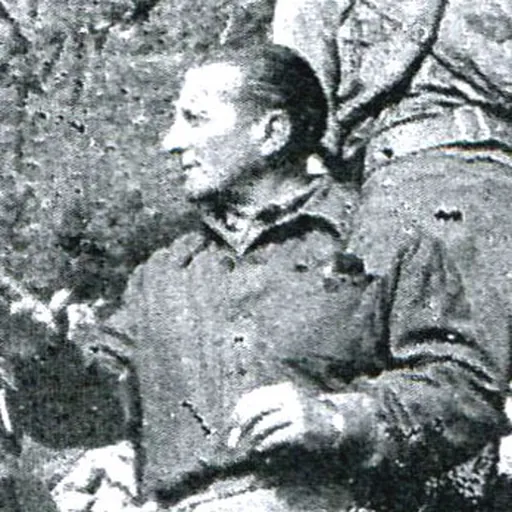 Portrait of Aldo Vergano