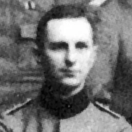 Portrait of Ulrich von Coler