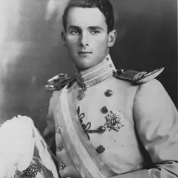 Portrait of Prince Álvaro of Orleans