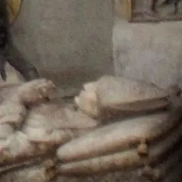 Portrait of Alonso Carrillo de Albornoz