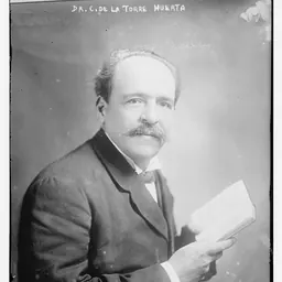 Portrait of Carlos de la Torre y Huerta