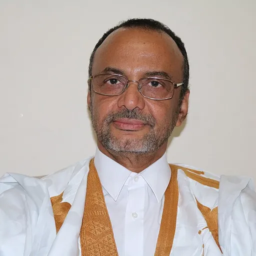 Portrait of Sidi Mohamed Ould Boubacar