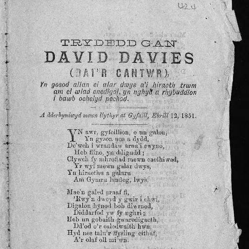 Portrait of David Davies