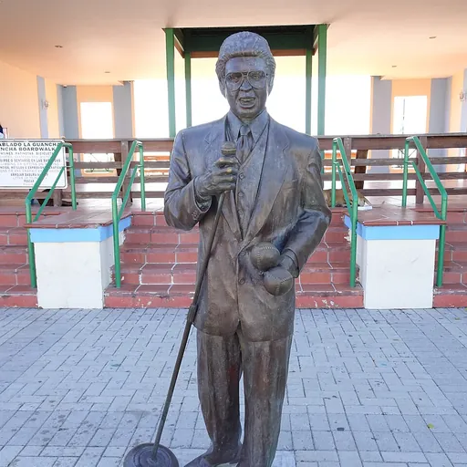 Portrait of Héctor Lavoe