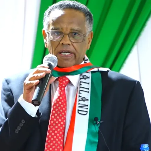 Portrait of Bashe Mohamed Farah