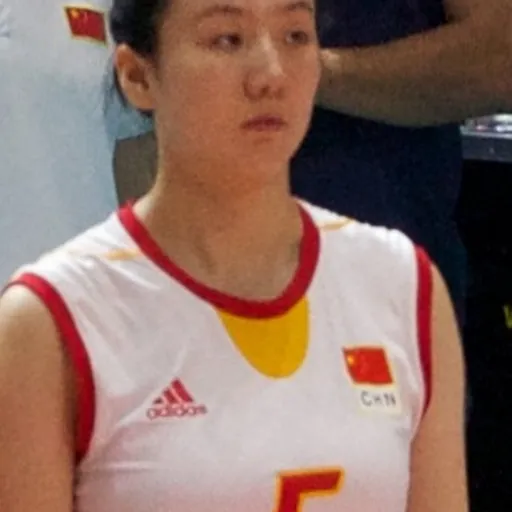 Portrait of Shen Jingsi
