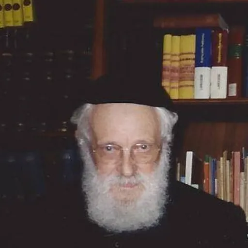 Portrait of Alexandru Șafran