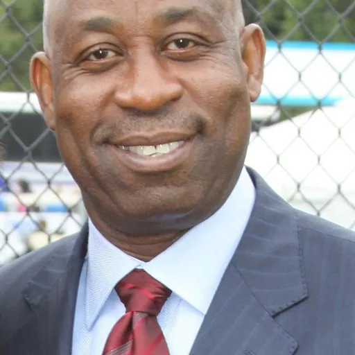 Portrait of Henry Dele Alake