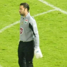 Portrait of Zsolt Sebők
