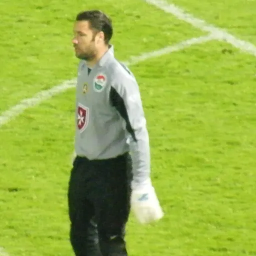 Portrait of Zsolt Sebők