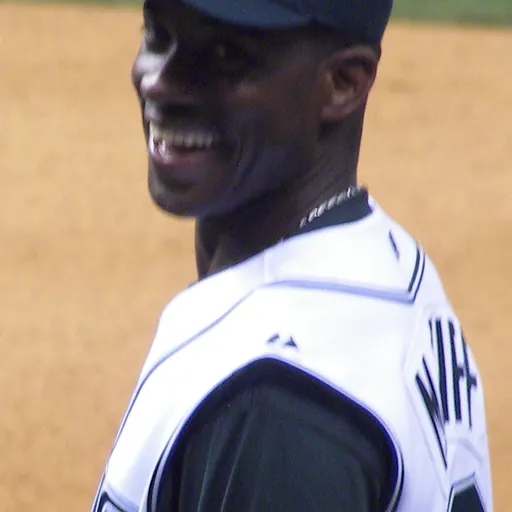 Portrait of Fred McGriff