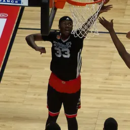Portrait of Diamond Stone