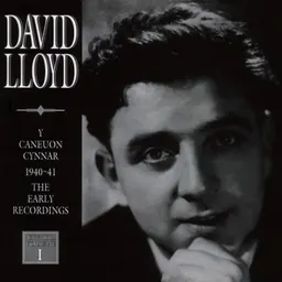 Portrait of David Lloyd