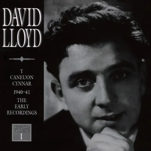 Portrait of David Lloyd