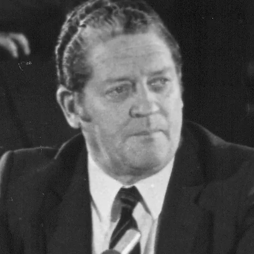 Portrait of Brian Lenihan Snr