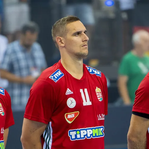 Portrait of Patrik Ligetvári