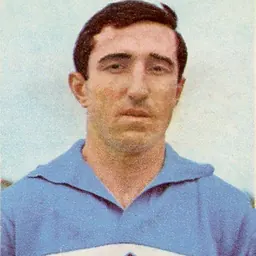 Portrait of Fulvio Francesconi