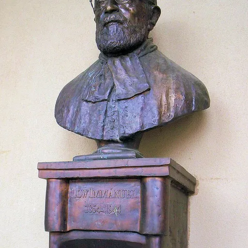 Portrait of Immanuel Löw