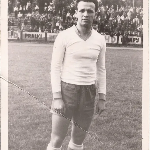 Portrait of Henryk Brejza