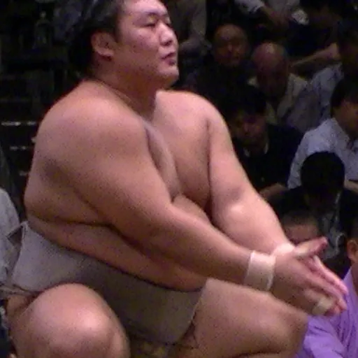 Portrait of Takanoiwa Yoshimori