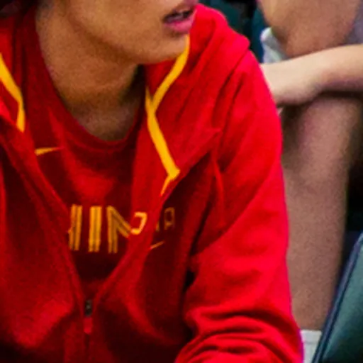 Portrait of Sun Mengxin