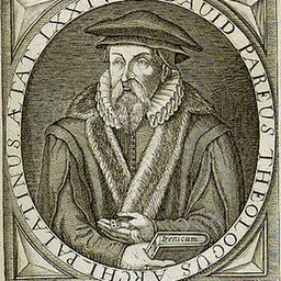 Portrait of David Pareus