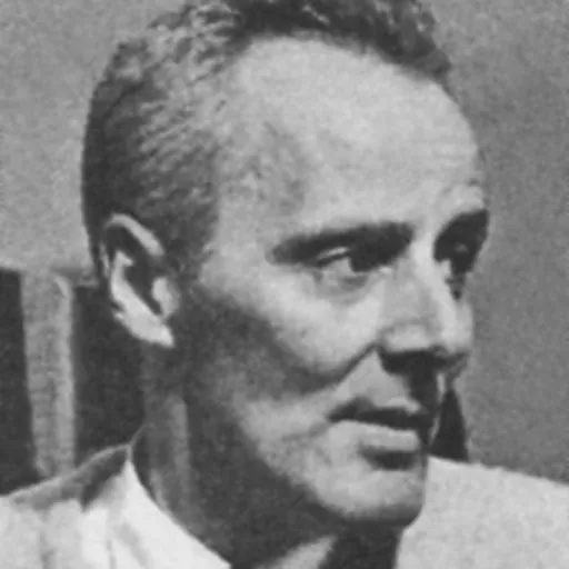 Portrait of Mário Cesariny de Vasconcelos