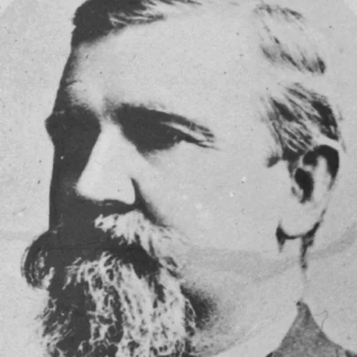 Portrait of Littleton W. Moore